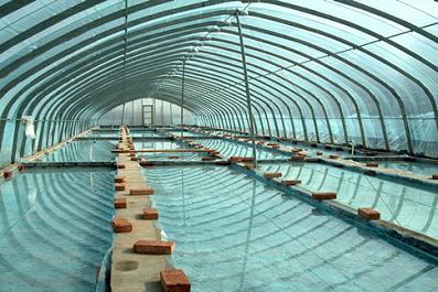 漁業(yè)過冬棚補(bǔ)貼