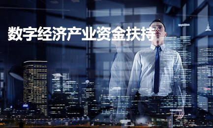 數(shù)字經(jīng)濟(jì)產(chǎn)業(yè)扶持計劃