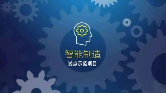 智能制造試點(diǎn)示范項(xiàng)目