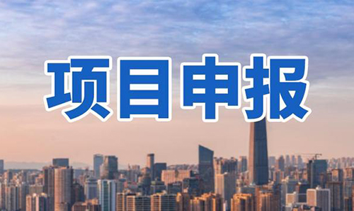 技術(shù)改造資助項(xiàng)目