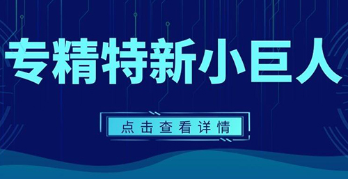 專精特新“小巨人”企業(yè)認(rèn)定標(biāo)準(zhǔn)