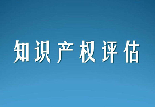 知識(shí)產(chǎn)權(quán)評(píng)估