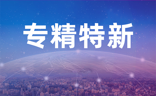 省級(jí)專精特新企業(yè)獎(jiǎng)勵(lì)