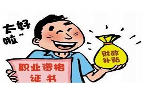 申請(qǐng)政府補(bǔ)貼項(xiàng)目需要做哪些？？？