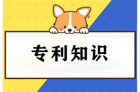 為什么只有發(fā)明專利要做實質(zhì)審查？主要審查什么？