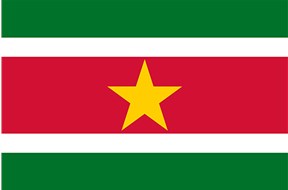 如何辦理蘇里南商標注冊？