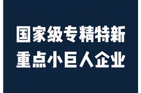 2025年深圳市專精特新重點小巨人企業(yè)申報指南