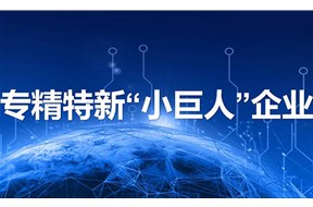 2025年深圳市專精特新小巨人企業(yè)申報通知